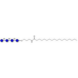 Gentiotetraose DP4 with stearic chain