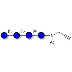Gentiotetraose DP4 with terminal alkyne