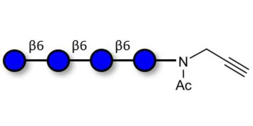 Gentiotetraose DP4 with terminal alkyne