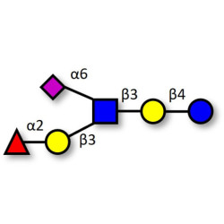 Sialyl-Lacto-N-fucopentaose V  (Sia-LNFP V) (>90% HPLC)