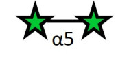 Arabinobiose DP2 (>95%...