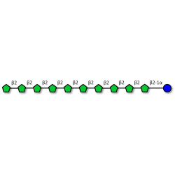 Fructo-oligosaccharide DP11 / GF10 (>90% HPAEC-PAD)
