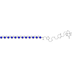 Maltododecaose DP12 linked to biotin (Linker-BT A)