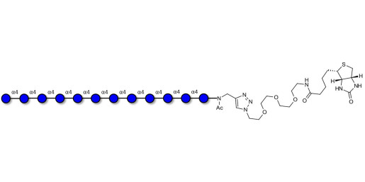 Maltododecaose DP12 linked to biotin (Linker-BT A)