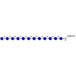 Isomaltododecaose DP12 grafted on CRM197