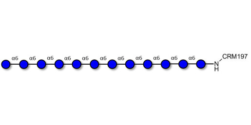 Isomaltododecaose DP12 grafted on CRM197