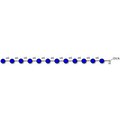 Isomaltododecaose DP12 grafted on OVA