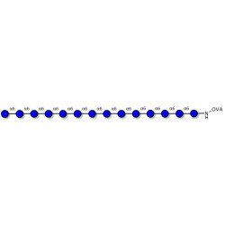 Isomaltotetradecaose DP14 grafted on OVA