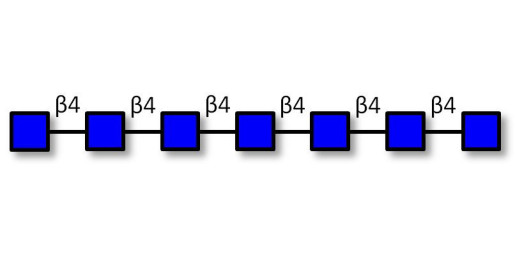 Chitinheptaose DP7 (>80% HPLC) - GLU437 Chitin oligosaccharides DP7 ; N,N',N'',N''',N'''',N''''',N''''''-Heptaacetylchitoheptaose ; Hepta-N-acetylchitoheptaose ; GLU437-90%