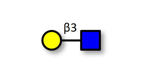Lacto-N-Biose / N-Acetyl-D-Lactosamine (LacNAc) type I (>95% HPLC) - 2-Acetamido-2-deoxy-3-O-(β-D-galactopyranosyl)-D-glucopyranose ; GLY009-90%