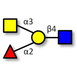 Blood group A antigen tetraose type 2 (>85% NMR)