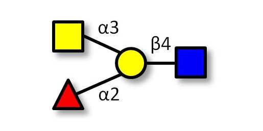 Blood group A antigen tetraose type 2 (>85% NMR) - Blood Group A tetrasaccharide type II; GLY035-2-90%