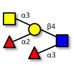 Blood group A Lewis y antigen pentaose type 2 (>75% NMR)