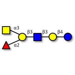 Blood group A antigen hexaose type 1 (>80% HPLC)