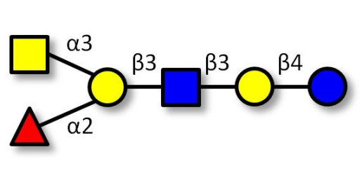 Blood group A antigen hexaose type 1 (>80% HPLC) - A antigen hexaose type 1 ; Blood group A hexasaccharide type I ; GLY037-1-90%