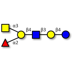 Blood group A antigen hexaose type 2 (>85% NMR)