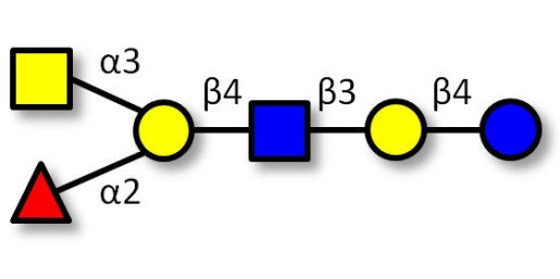 Blood group A antigen hexaose type 2 (>85% NMR) - A antigen hexaose type 2 ; Blood group A hexasaccharide type II ; GLY037-2-90%