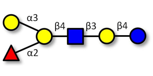 Blood group B antigen hexaose type 2 (>80% NMR) - Blood group B hexasaccharide type II ; GLY040-2-90%