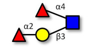 Lewis b (Leb) tetraose...