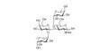 Lewis b (Leb) tetraose (>85% NMR) - Lewis B tetrasaccharide ; LBT ; GLY045-90%
