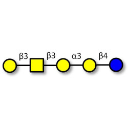 Isoglobopentaose (iGb5) (>85% NMR)