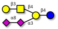GD1b Ganglioside...