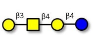 Asialo GM1 Ganglioside...