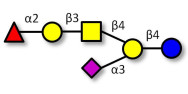 Fucosyl GM1 Ganglioside...