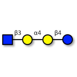 Globotetraose (Gb4) analogue (>80% NMR)