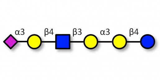 Sialylated isoglobopentaose (Sialylated iGb5) analogue type 2 (>85% NMR) - Sialylated iGb5 analogue type 2