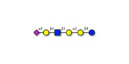 Sialylated isoglobopentaose...