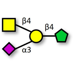 GM2 Ganglioside oligosaccharide fructose isomer (>90% NMR)