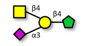 GM2 Ganglioside...