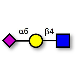 6'-α-sialyl-N-Acetyl-Lactosamine (6'SLN) (>85% NMR)