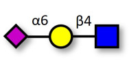 6'-α-sialyl-N-Acetyl-Lactos...