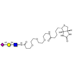 6'-α-sialyl-N-Acetyl-Lactosamine (6'SLN) linked to biotin (Linker-BT G)