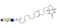 6'-α-sialyl-N-Acetyl-Lactos...