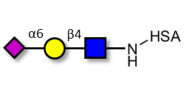 6'-α-sialyl-N-Acetyl-Lactos...