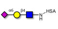 6'-α-sialyl-N-Acetyl-Lactosamine (6'SLN) grafted on HSA