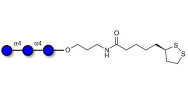 Maltotriose DP3 with cyclic...