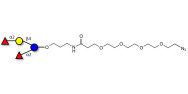 2',2-Difucosyllactose with...