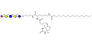 LS-Tetrasaccharide a (LSTa)...