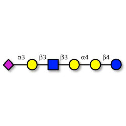 Stage-Specific Embryonic Antigen-4 (SSEA-4) hexaose analogue type 1 (>75% NMR)