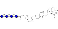 Isomaltotetraose DP4 linked...