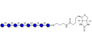 Isomaltooctaose DP8 linked...