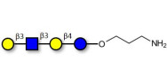 Lacto-N-tetraose (LNT) with...