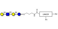 Lacto-N-tetraose (LNT) with...
