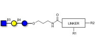 Lacto-N-Triose (LNT2) with...